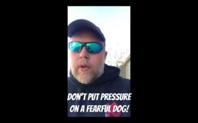Working Through Fear